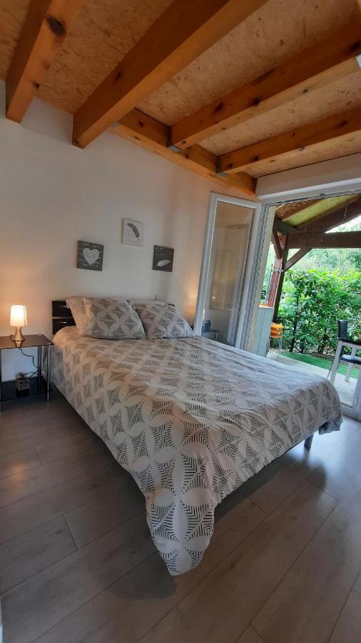 Promo 6-10Juin Gite 6 Personnes Toulouse 7Mn Du Metro 4 Lits Terrasses Gragnague Exterior foto